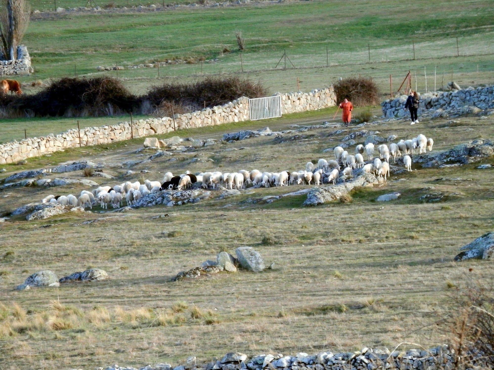 Casa Rural El Dolmen Bernuy-Salinero Exteriér fotografie